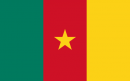 Flag_of_Cameroon.svg_